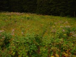 2013-08-17_Wettersteinhuette _Regina-F-Rau (081).JPG